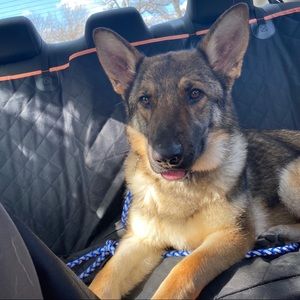 Meet your Posher, Jacob